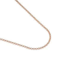 Rose Gold Plated Rolo Necklace