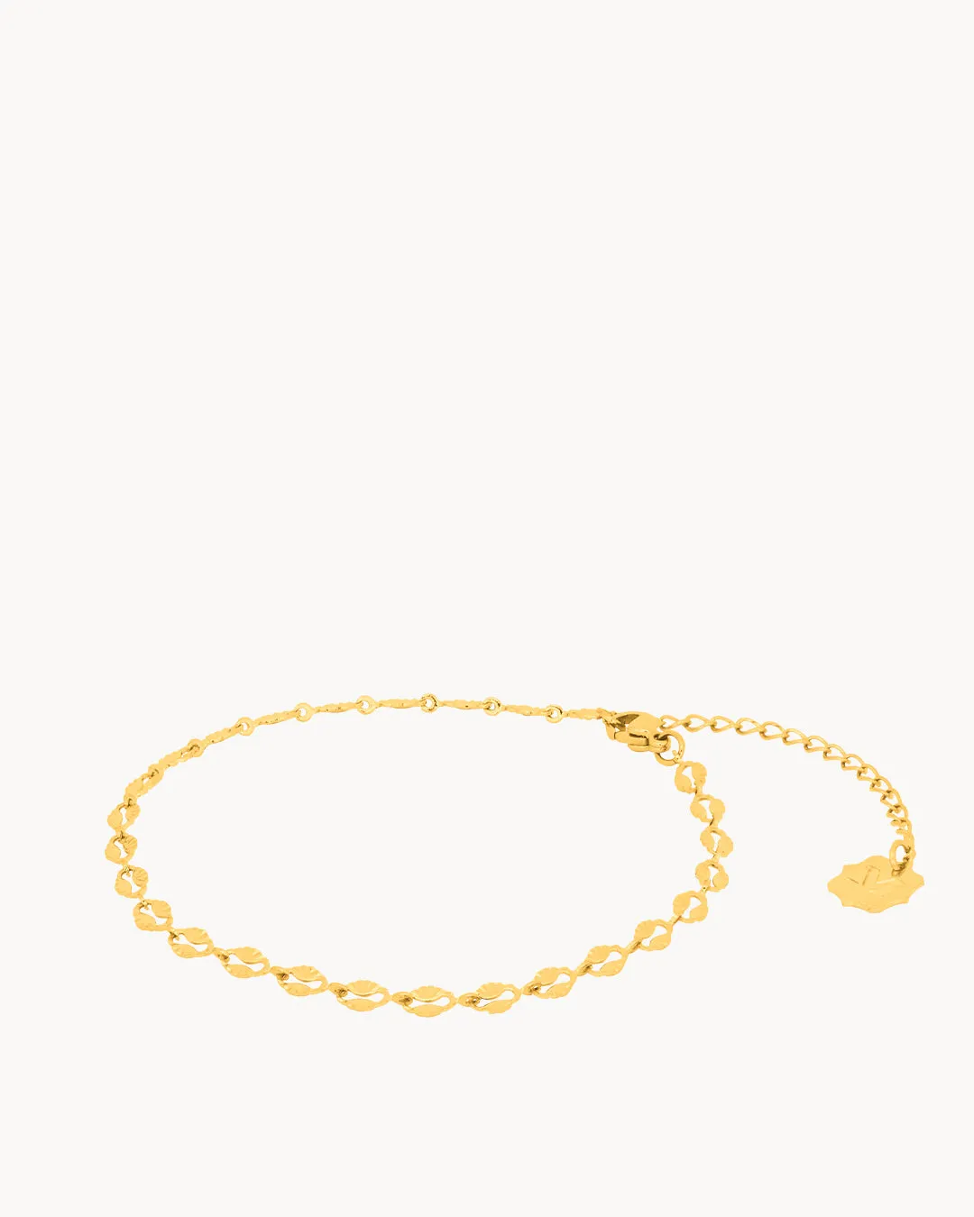 Shell Anklet